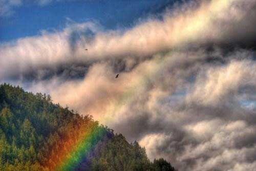 Amazing Rainbows in the Sky