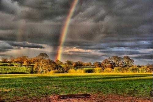 Amazing Rainbows in the Sky
