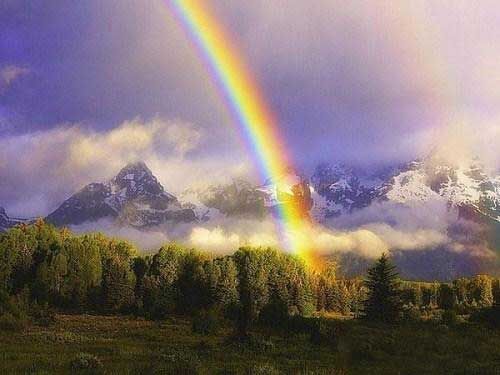 Amazing Rainbows in the Sky