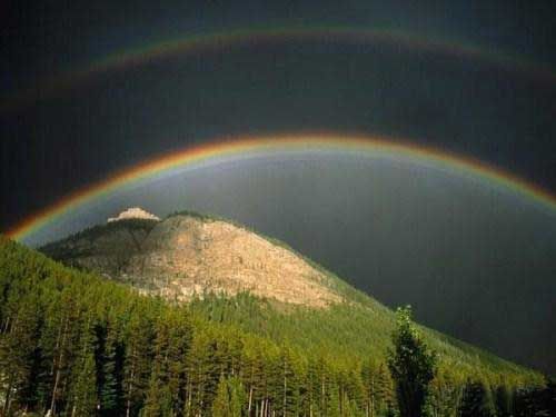 Amazing Rainbows in the Sky