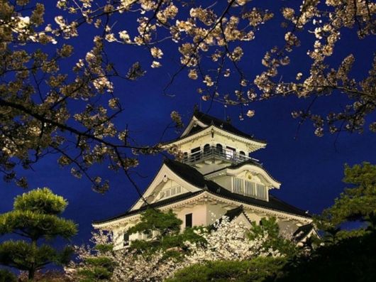 Beautiful Spring Season in Japan