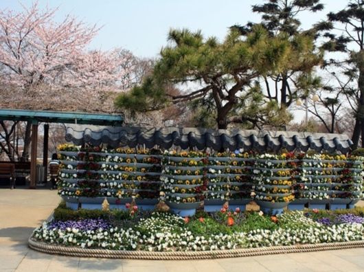 Beautiful Spring Season in Japan