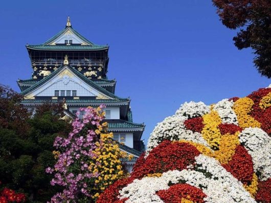 Beautiful Spring Season in Japan