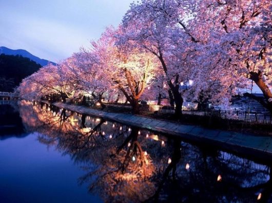 Beautiful%20Spring%20Season%20in%20Japan%20|%20Funzug.com