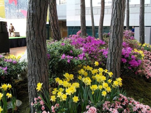 Beautiful Spring Season in Japan