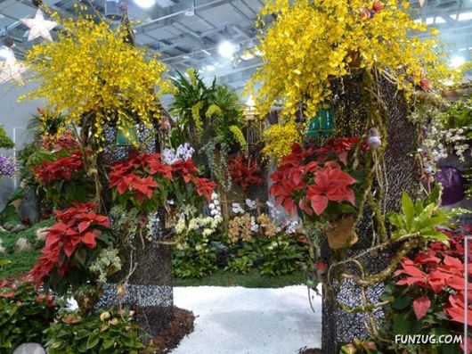 Taipei International Flora Exhibition