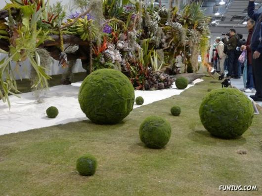 Taipei International Flora Exhibition