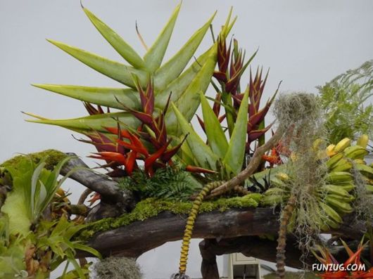 Taipei International Flora Exhibition