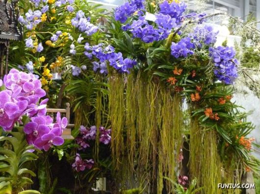 Taipei International Flora Exhibition
