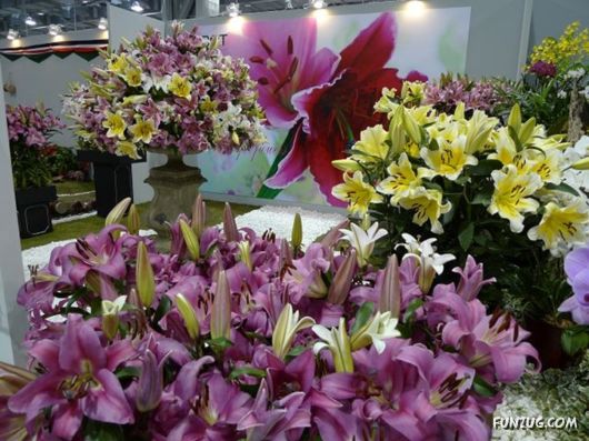 Taipei International Flora Exhibition