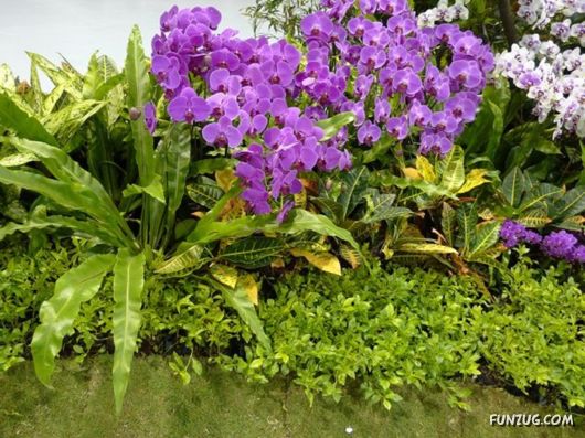Taipei International Flora Exhibition