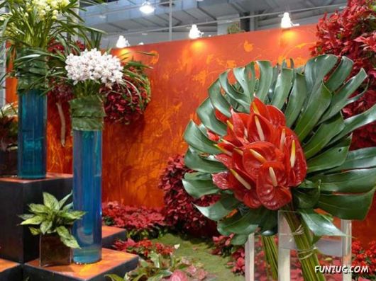 Taipei International Flora Exhibition