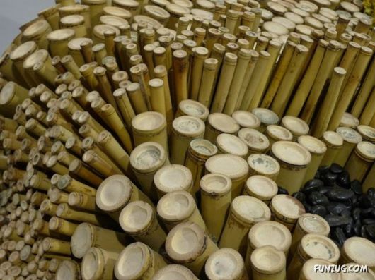 Taipei International Flora Exhibition