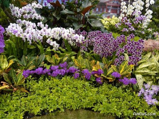 Taipei International Flora Exhibition