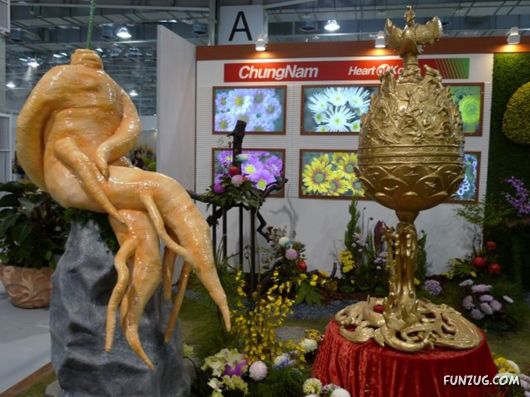 Taipei International Flora Exhibition