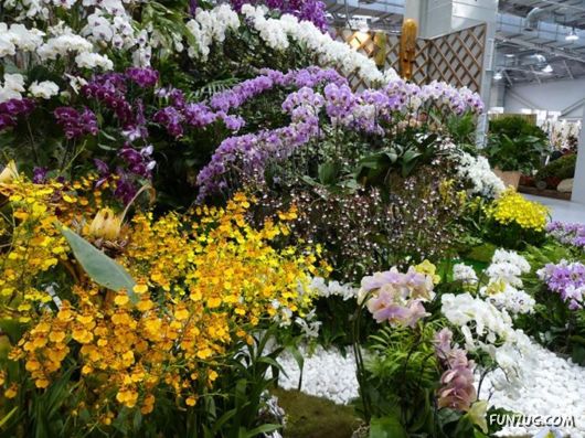 Taipei International Flora Exhibition