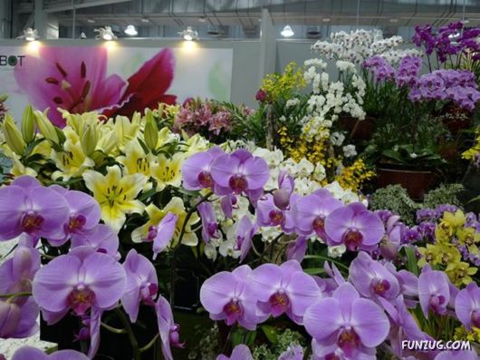 Taipei International Flora Exhibition