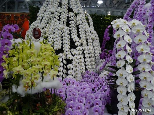 Taipei International Flora Exhibition