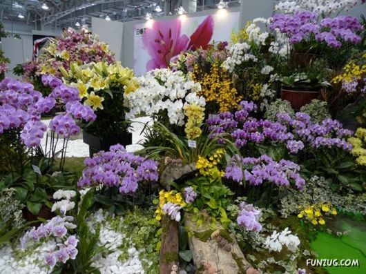 Taipei International Flora Exhibition