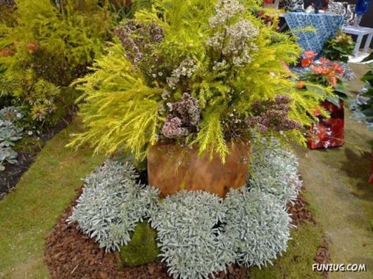 Taipei International Flora Exhibition