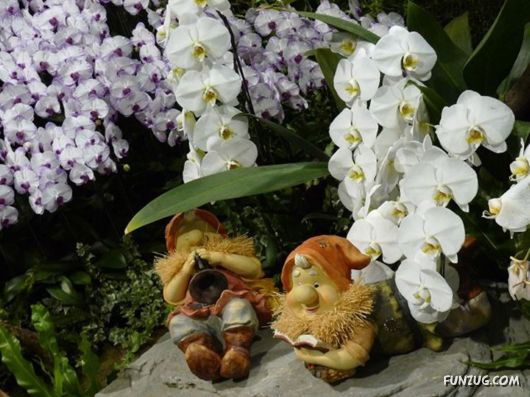 Taipei International Flora Exhibition