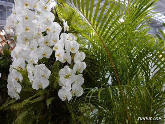 Taipei International Flora Exhibition