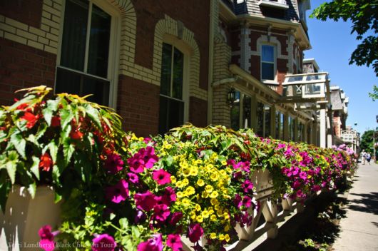 Trees And Flowers Lined Avenues And Roads