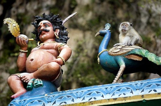 Batu Caves Breathtaking Charmers