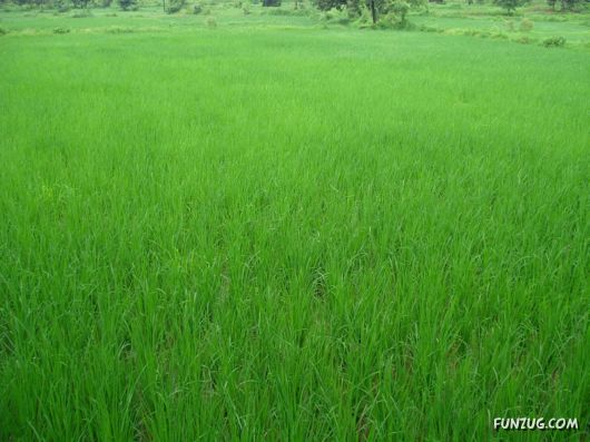 The Beautiful Malshej Ghat, India
