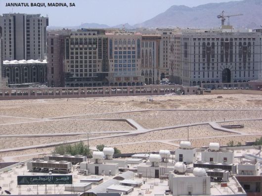 The Kingdom Of Saudi Arabia