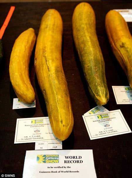 Worlds Largest Fruits and Vegetables