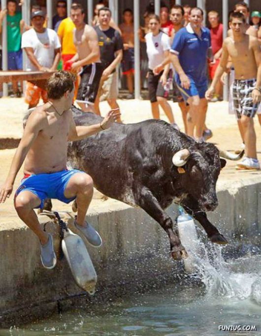 Swimming With The Bulls in Spain