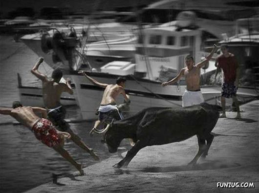 Swimming With The Bulls in Spain