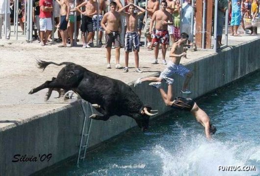 Swimming With The Bulls in Spain