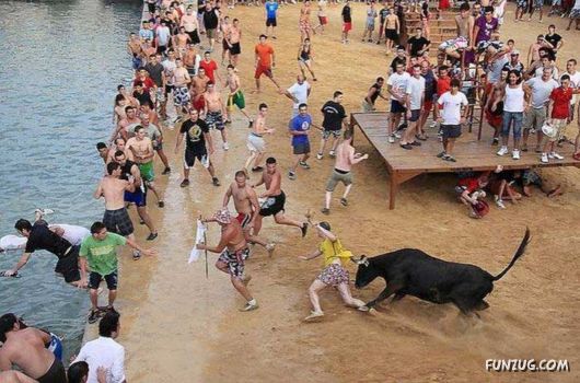 Swimming With The Bulls in Spain