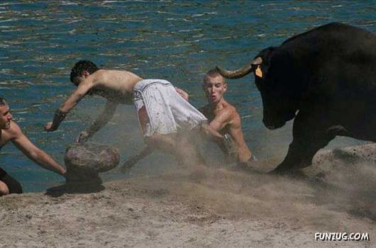 Swimming With The Bulls in Spain