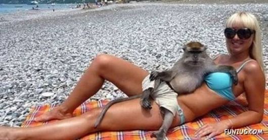 Great Timing Photos With Unusual Perspective