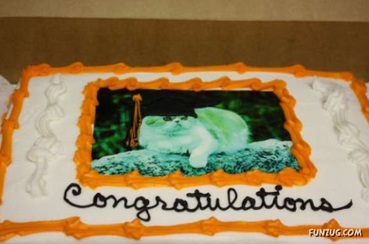 Weird Graduation Cakes for You