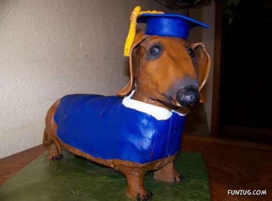 Weird Graduation Cakes for You