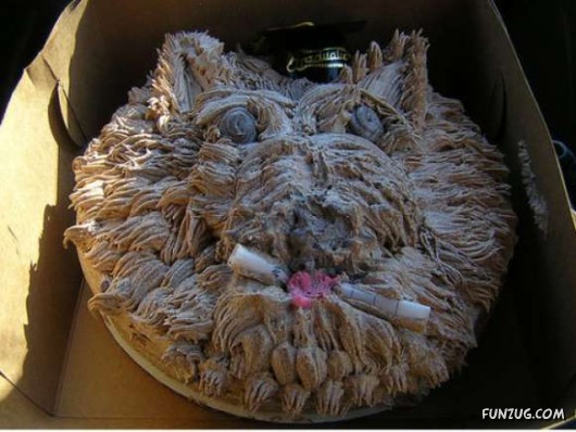 Weird Graduation Cakes for You
