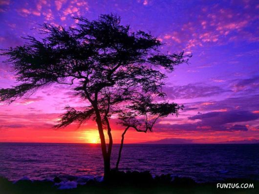 Exciting Beauty of Sunsets