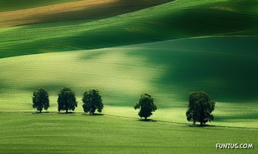 Wonderful Landscapes Wallpapers