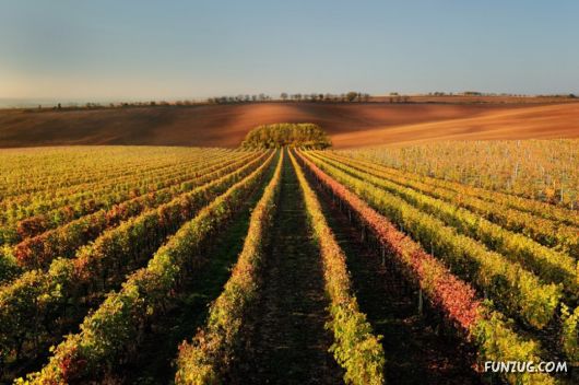 Wonderful Landscapes Wallpapers