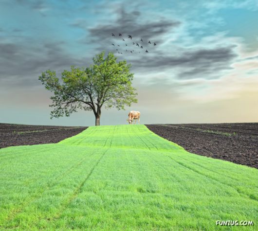 Wonderful Landscapes Wallpapers