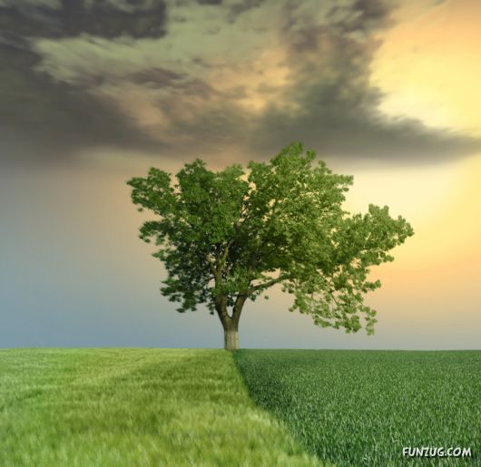 Wonderful Landscapes Wallpapers