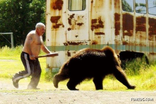 Cute Fearsome Cuddly, Its a BEAR!