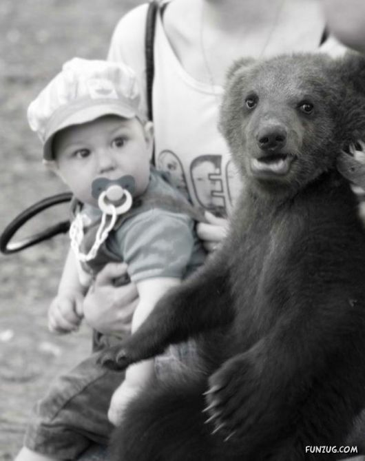 Cute Fearsome Cuddly, Its a BEAR!