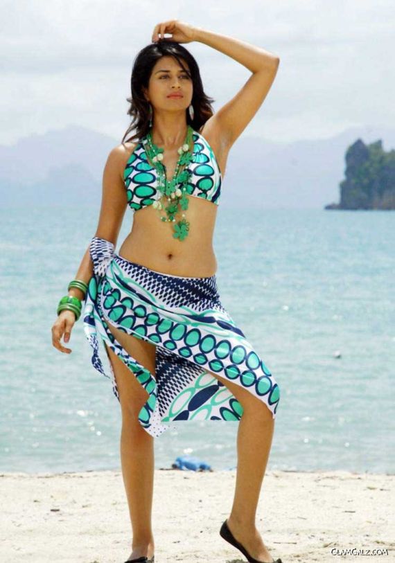 Shraddha Das in a New Stylish Outfit