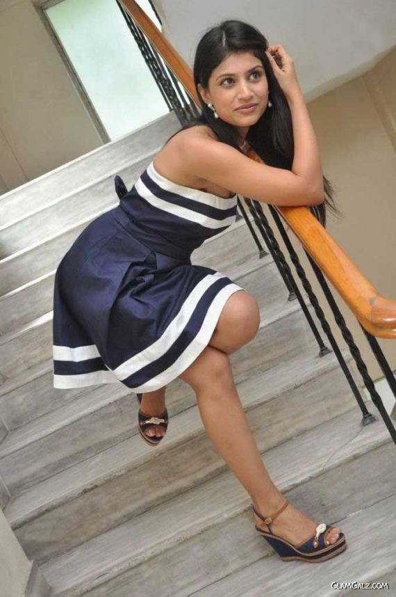 Telugu Beauty Shweta Pandit