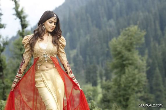 Click to Enlarge -Beautiful Genelia D'Souza Wallpapers